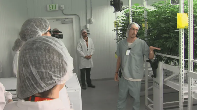 Georgia medical cannabis regulators tour Macon cultivation site as enrollment rises