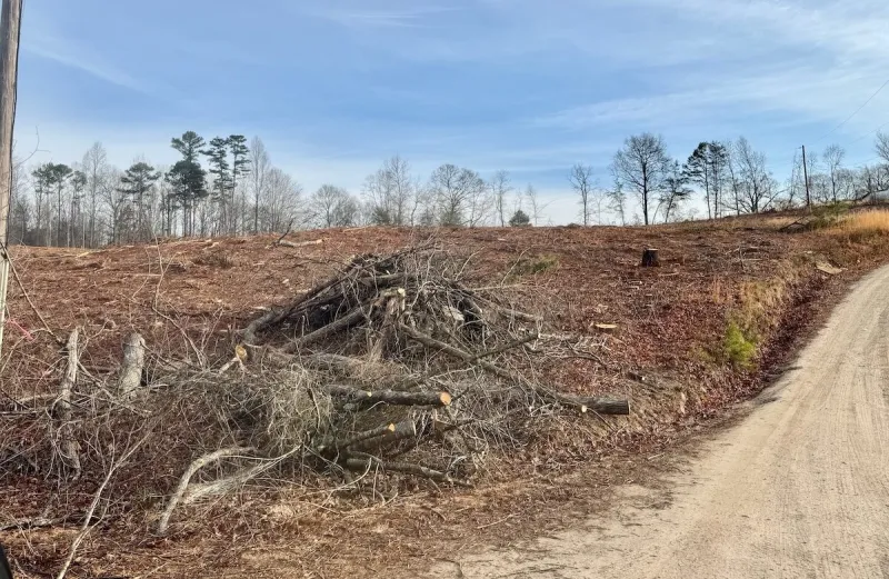 Baldwin moves ahead with Cook annexation hearings as legal questions linger