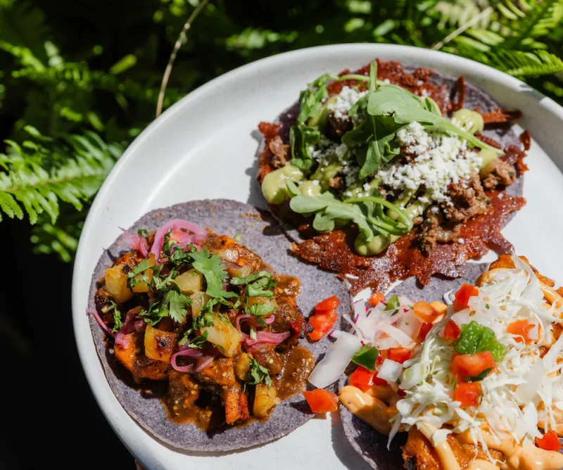 Amasa Mexican Kitchen builds on sister restaurant Chichera's masa-driven menu