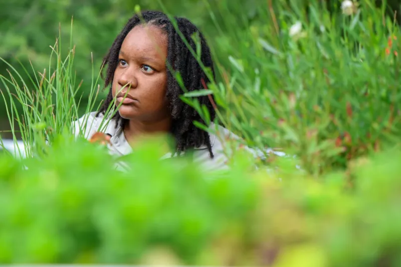Green Stormwater Demonstration Site offers solutions to urban water challenge