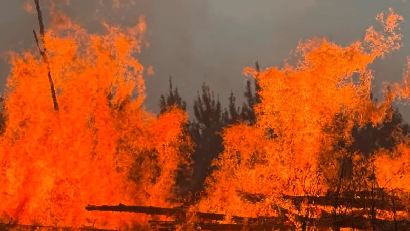 Baldwin County Fire crews help tackle brush fire over 8 acres in size in Wilkinson County