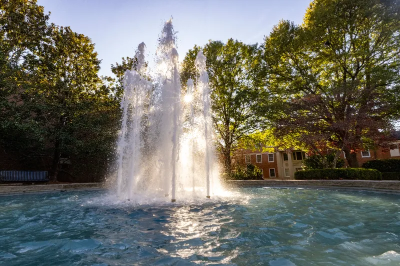 Four UGA faculty members, academic leaders named SEC Academic Leadership Development Program Fellows