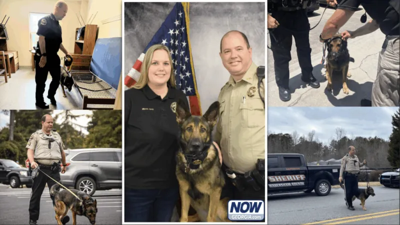 After 1,600 deployments, Habersham K9 Roxy heads into retirement