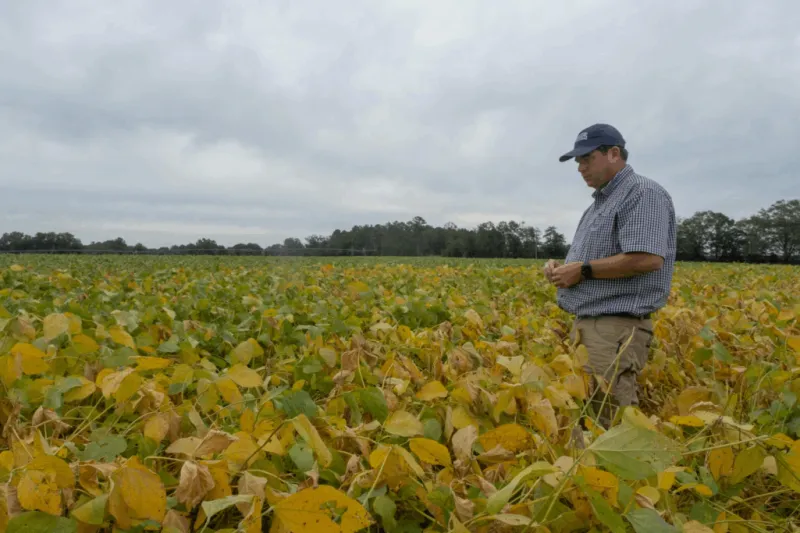 High costs and low profits top list of challenges for Georgia farmers