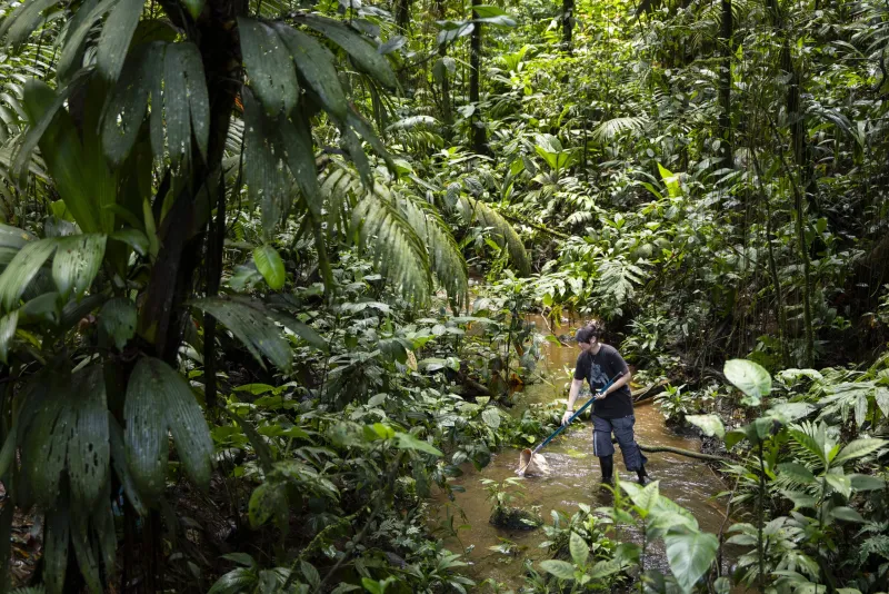 Welcome to the Jungle