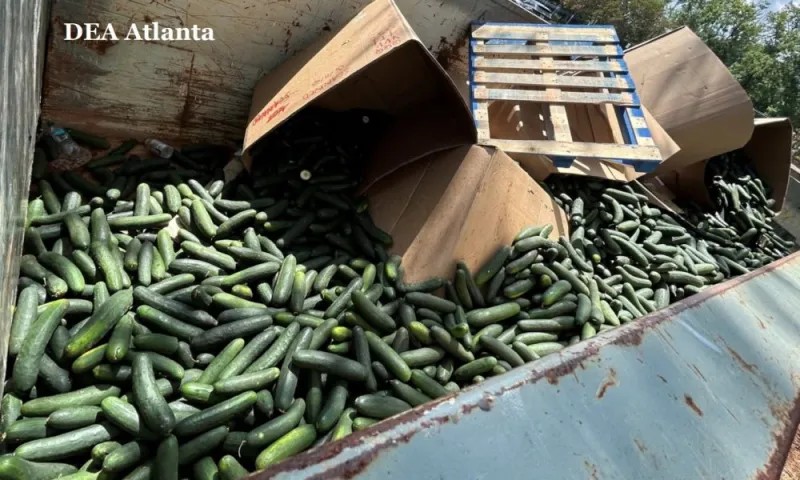 Illegal Alien Felon and Georgia Man Sentenced to Federal Prison for Trafficking over 700 Pounds of Methamphetamine Hidden in Cucumber Shipment