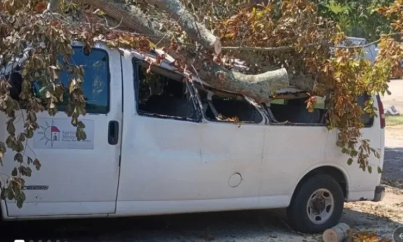 Fundraiser launched for SafeHouse after tree destroys van