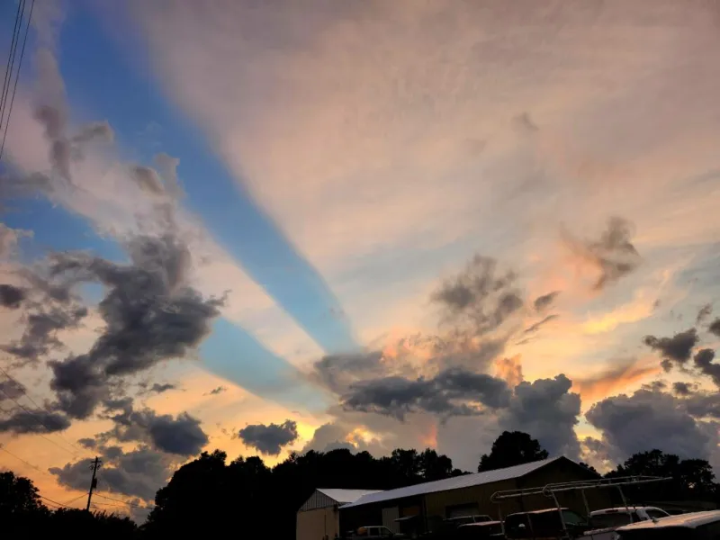 Now Georgia Photo of the Day