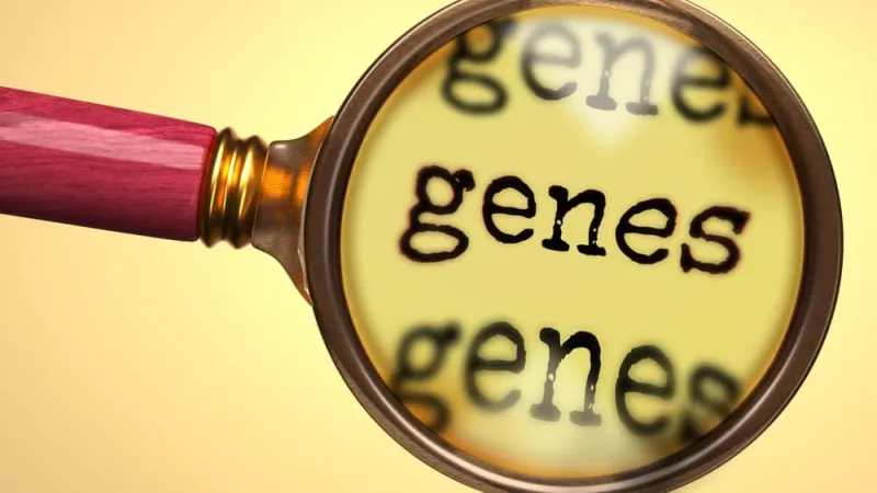Buy Ancestry DNA test kits for 60% OFF, for a limited time (also 23andMe & Embark Dog Breed kits are on sale!)