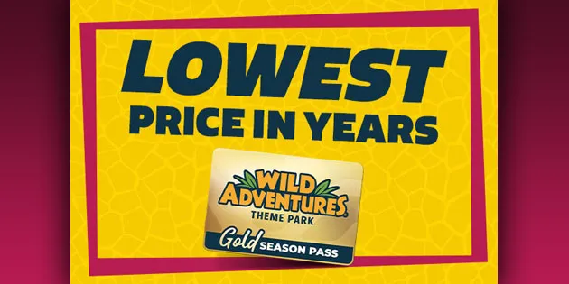 Wild Adventures Unveils Lower Pass Prices, New Neon Nights Event