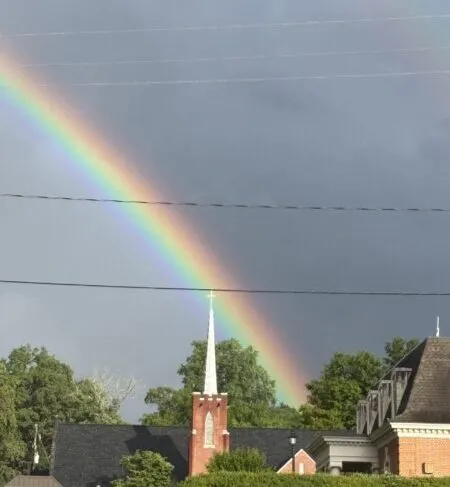 Now Georgia Photo of the Day