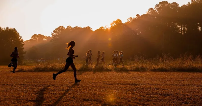 Season Preview: Georgia women's cross country looks to capitalize on budding roster