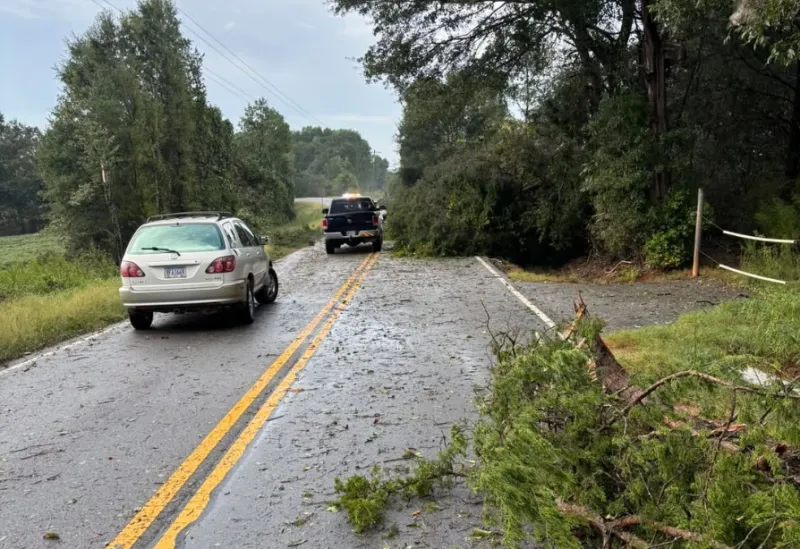 Storm topples trees, blocks roads across Northeast Georgia