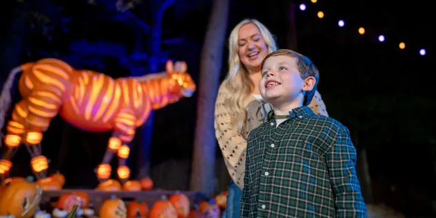 Great Pumpkin LumiNights Returns to Wild Adventures This Fall