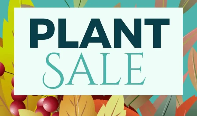 Fall Plant Sale at Woodlands Garden in Decatur on Sept. 19-20 (many hard to find natives!)