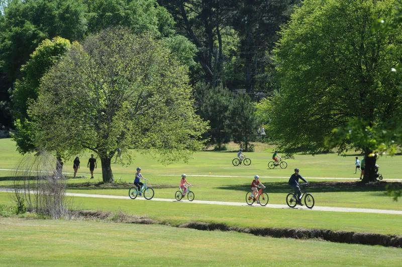Mosquitoes in Chastain Park test positive for West Nile virus