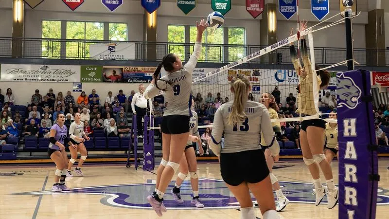 YHC falls to Braves in conference road match