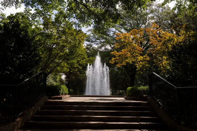 UGA welcomes second cohort of Faculty Innovation Fellows
