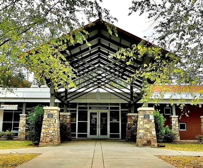 Columbus no kill shelter euthanizes dogs for space