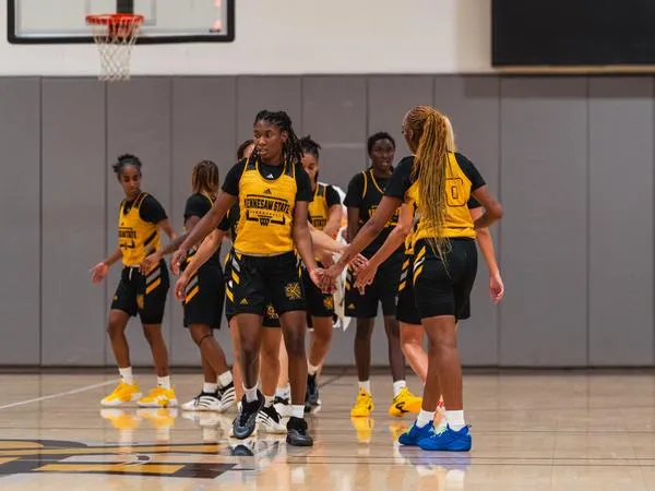 Owls Unveil Non-Conference Slate