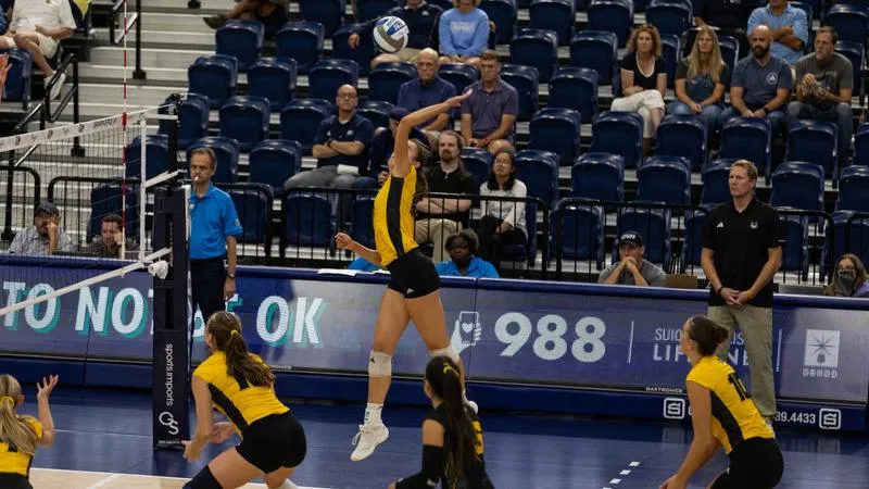Owls Fall in Four at Georgia Southern