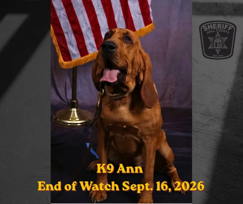 Hall County Sheriff's Office mourns loss of beloved K9 Ann