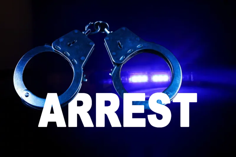 Carnesville man arrested after drugs, guns seized