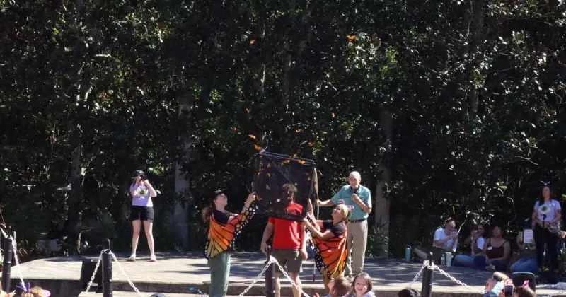 State Botanical Garden of Georgia hosts its 36th Annual Insectival