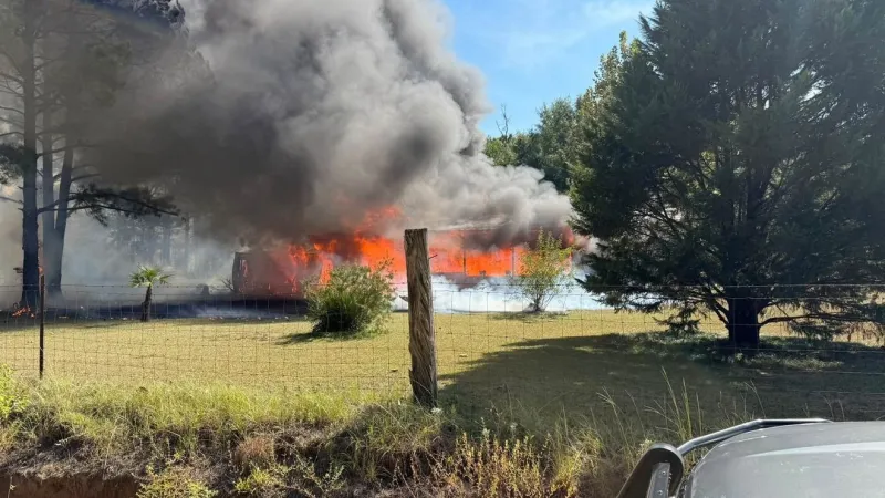 Three animals die in Washington County house fire outside Tennille, sheriff says