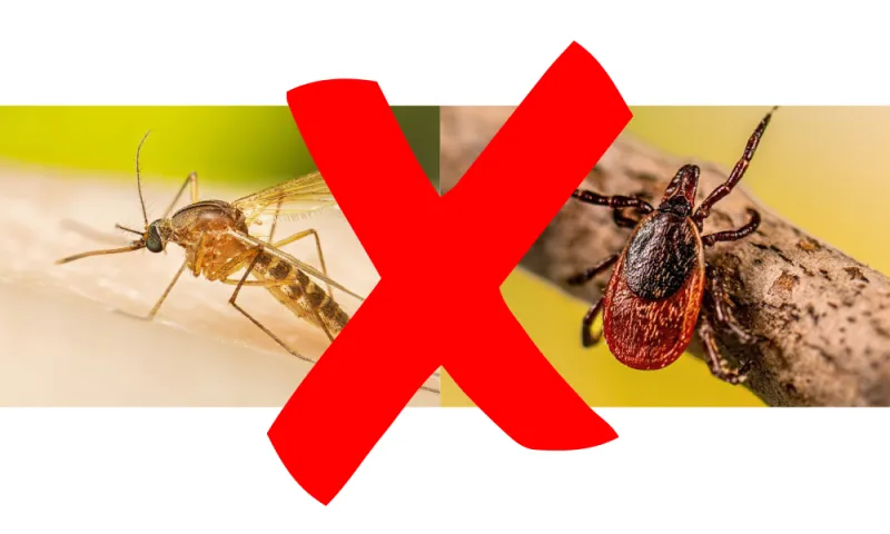 Trump Signs Executive Order Targeting Disease-Carrying Pests and Expanding Outdoor Recreation
