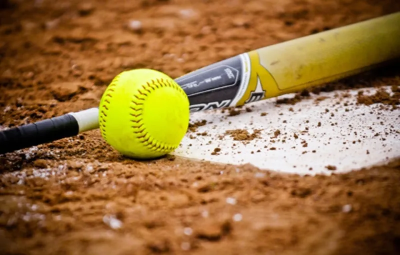 Cabe throws first-ever TFS perfect game as Lady Indians rout West Hall