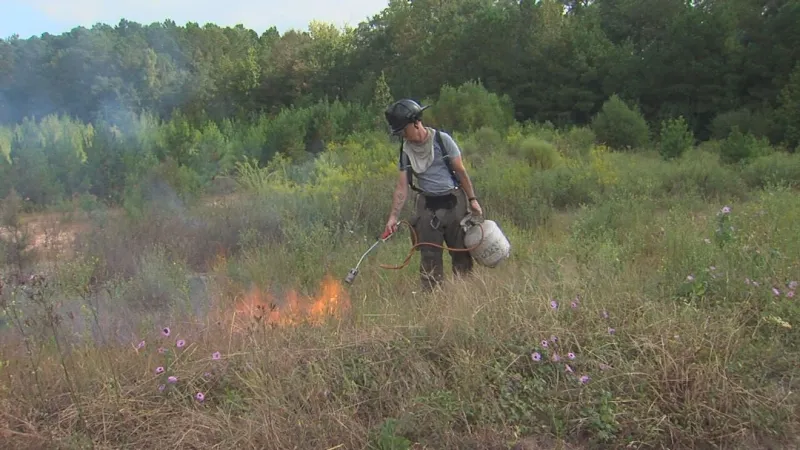Macon-Bibb fire officials urge safe outdoor burning as annual burn ban is lifted