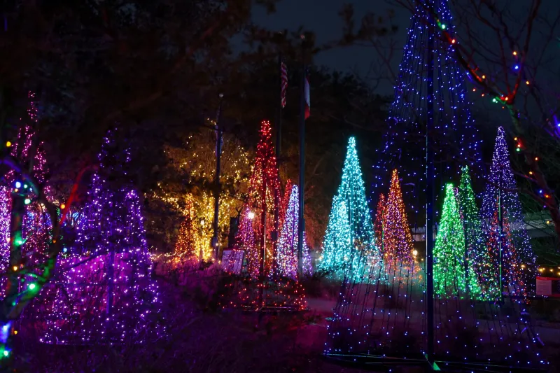 The State Botanical Garden shines bright with the return of Winter WonderLights