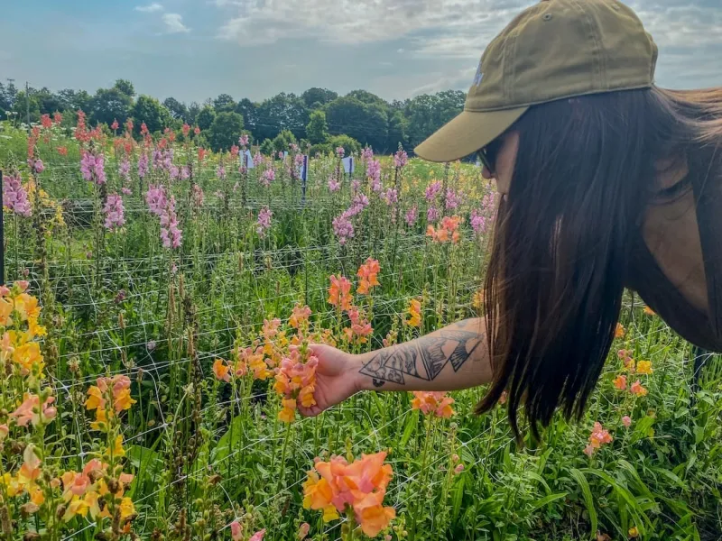 Growing value with cut flowers