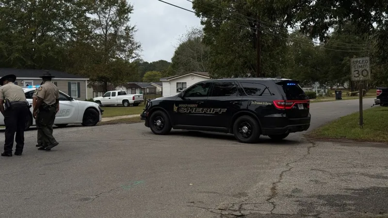 Two killed, 35 injured in shooting at Vienna block party
