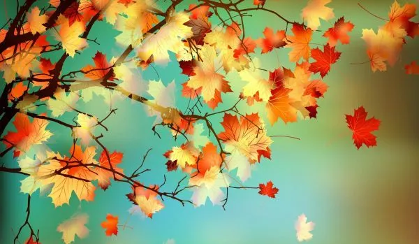 The Fall Festival on Ponce features live music, art vendors, food, kids activities, more, this Saturday & Sunday
