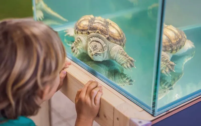 Repticon is back this October with FREE admission for teachers, military, first responders