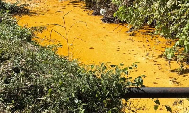 Update -- Reported spill in creek near Lyerly St