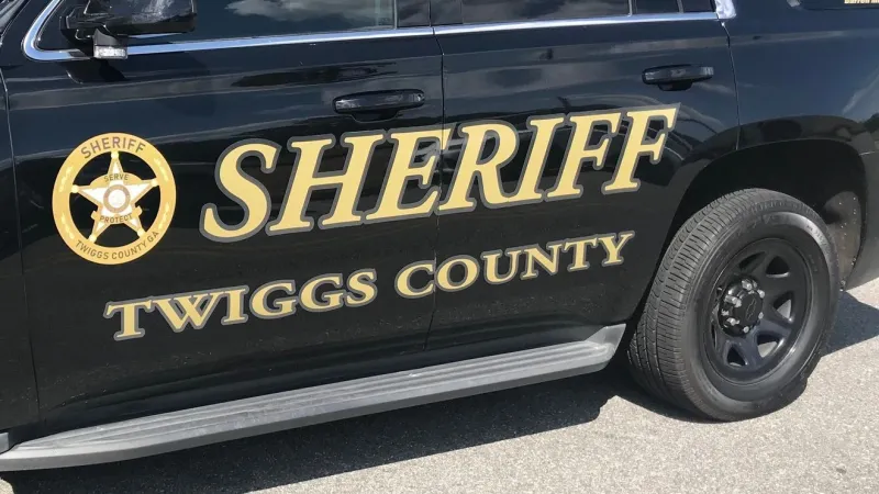 Twiggs deputy hospitalized after crashing into black bear on I-16