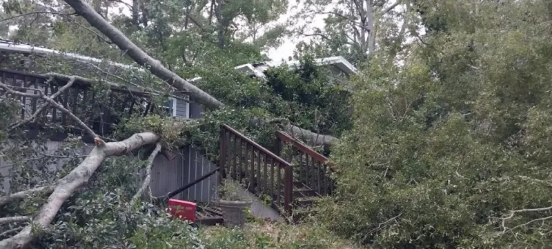 Hurricane Isaias leaves trail of devastation in Lake Eufaula