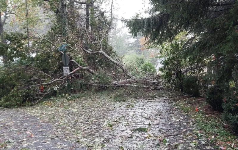 Isaias leaves downed trees, power outages across North Georgia