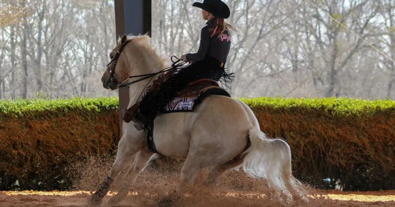 Georgia equestrian defeats Texas A&M with 2-8 home-opener win