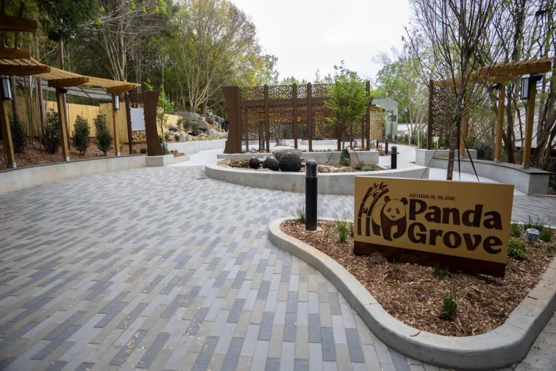 Zoo Atlanta's giant panda habitat opens to public in November