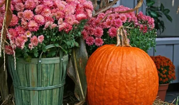 Snellville Fall Festival on Saturday: art market, kid zone, free concert by Chi Town Transit Authority (Chicago tribute act)