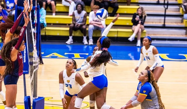 Lady Wildcats Battle Against the Lady Panthers of Clark Atlanta