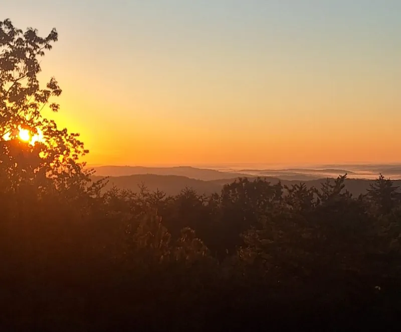 Now Georgia Photo of the Day