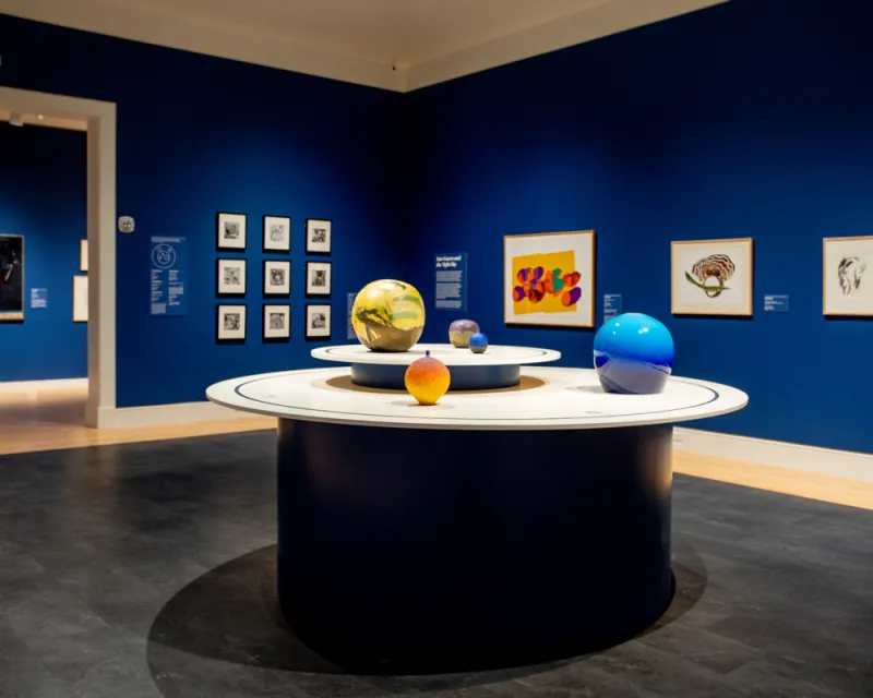 Georgia Museum of Art receives five regional rewards