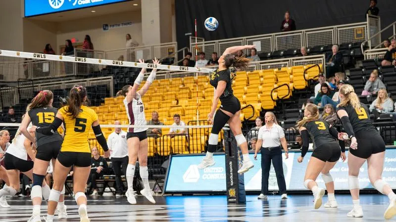 Owls Grounded By Bears in Five