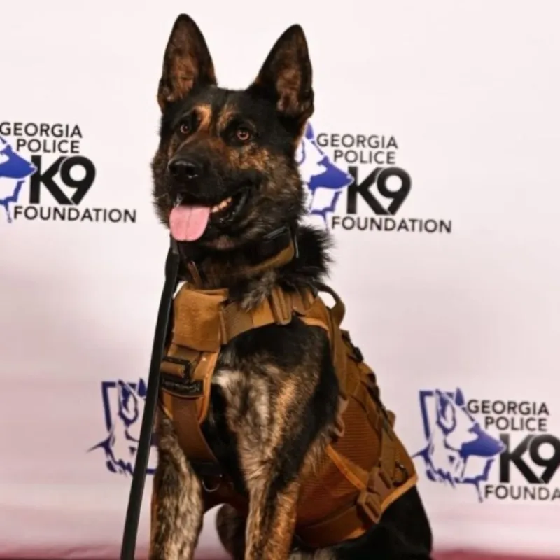 PETA asks Columbus Police to end use of K9 officers