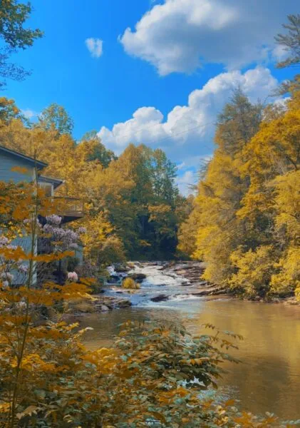 Now Georgia Photo of the Day